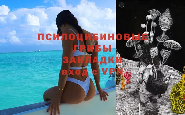 каннабис Майский